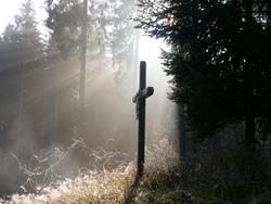 Novembergedanken 2025 250x184